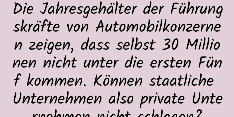 Die Jahresgehälter der Führungskräfte von Automobilkonzernen zeigen, dass selbst 30 Millionen nicht unter die ersten Fünf kommen. Können staatliche Unternehmen also private Unternehmen nicht schlagen?
