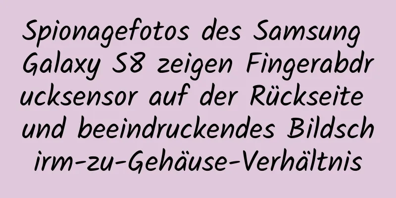 Spionagefotos des Samsung Galaxy S8 zeigen Fingerabdrucksensor auf der Rückseite und beeindruckendes Bildschirm-zu-Gehäuse-Verhältnis