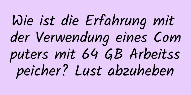 Wie ist die Erfahrung mit der Verwendung eines Computers mit 64 GB Arbeitsspeicher? Lust abzuheben