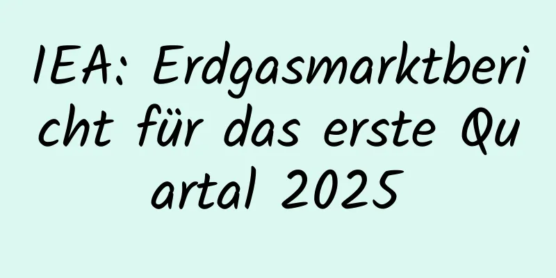 IEA: Erdgasmarktbericht für das erste Quartal 2025