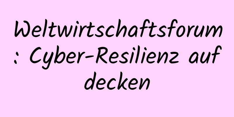 Weltwirtschaftsforum: Cyber-Resilienz aufdecken