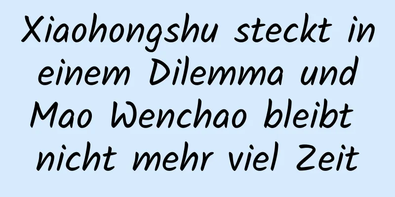 Xiaohongshu steckt in einem Dilemma und Mao Wenchao bleibt nicht mehr viel Zeit