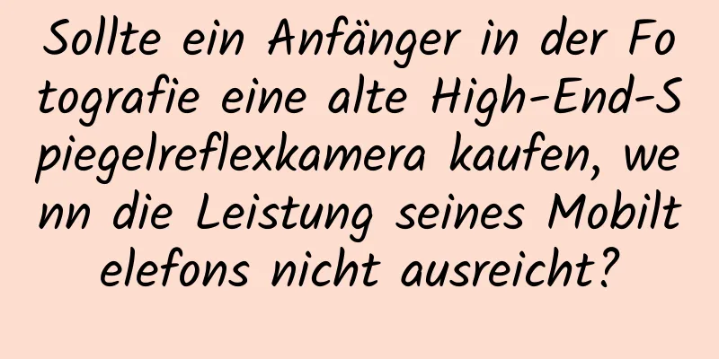 Sollte ein Anfänger in der Fotografie eine alte High-End-Spiegelreflexkamera kaufen, wenn die Leistung seines Mobiltelefons nicht ausreicht?