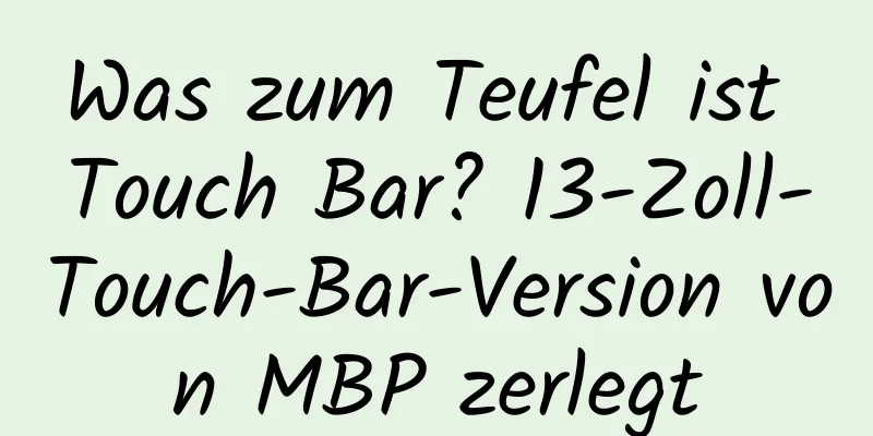 Was zum Teufel ist Touch Bar? 13-Zoll-Touch-Bar-Version von MBP zerlegt