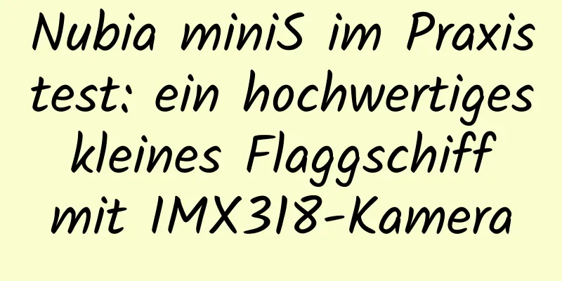 Nubia miniS im Praxistest: ein hochwertiges kleines Flaggschiff mit IMX318-Kamera