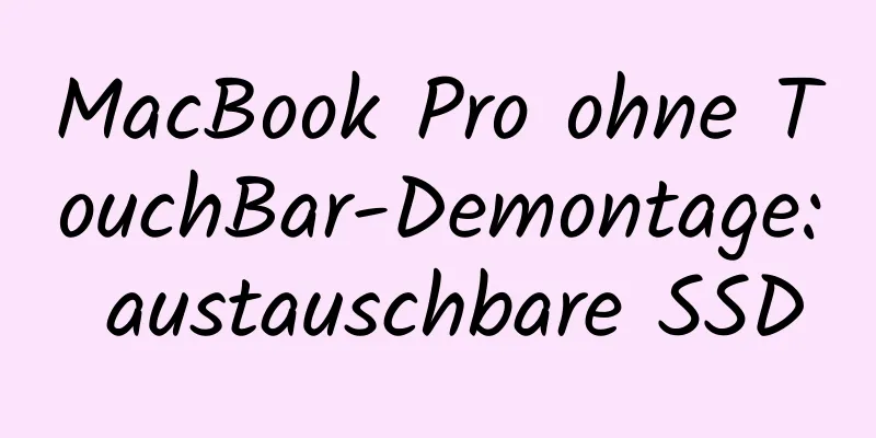 MacBook Pro ohne TouchBar-Demontage: austauschbare SSD