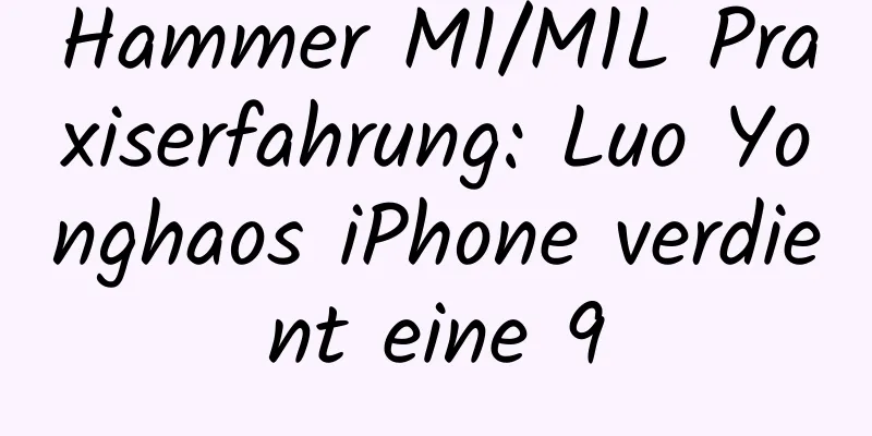 Hammer M1/M1L Praxiserfahrung: Luo Yonghaos iPhone verdient eine 9