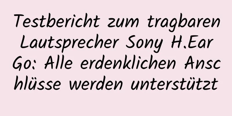 Testbericht zum tragbaren Lautsprecher Sony H.Ear Go: Alle erdenklichen Anschlüsse werden unterstützt