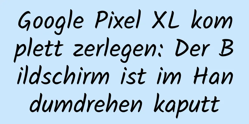 Google Pixel XL komplett zerlegen: Der Bildschirm ist im Handumdrehen kaputt