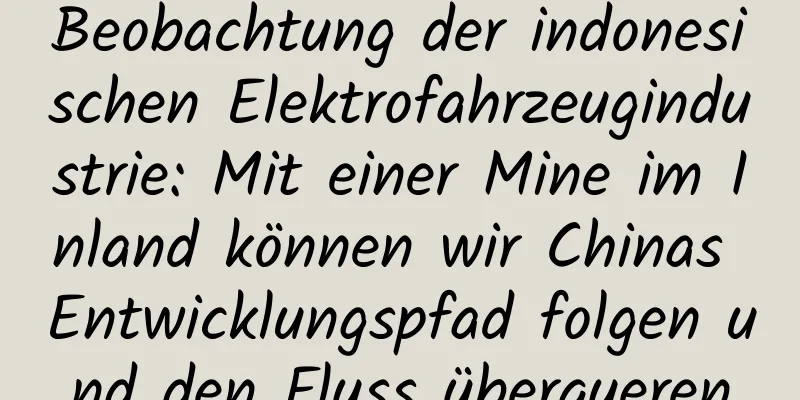 Beobachtung der indonesischen Elektrofahrzeugindustrie: Mit einer Mine im Inland können wir Chinas Entwicklungspfad folgen und den Fluss überqueren