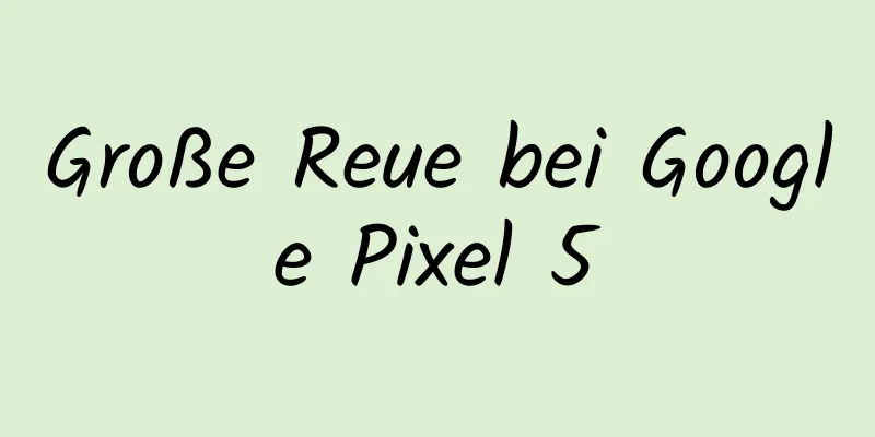 Große Reue bei Google Pixel 5