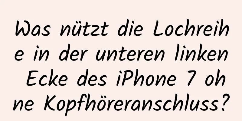 Was nützt die Lochreihe in der unteren linken Ecke des iPhone 7 ohne Kopfhöreranschluss?