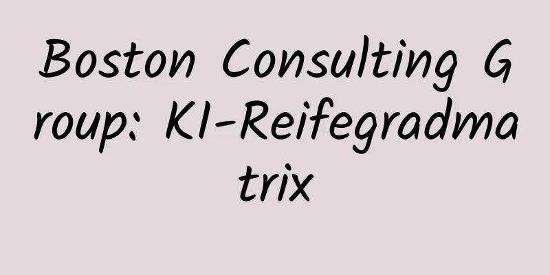 Boston Consulting Group: KI-Reifegradmatrix