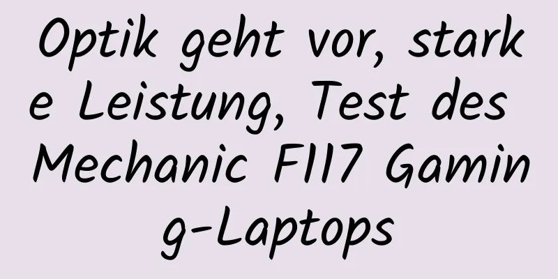 Optik geht vor, starke Leistung, Test des Mechanic F117 Gaming-Laptops