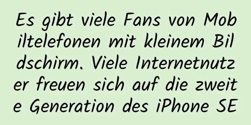 Es gibt viele Fans von Mobiltelefonen mit kleinem Bildschirm. Viele Internetnutzer freuen sich auf die zweite Generation des iPhone SE