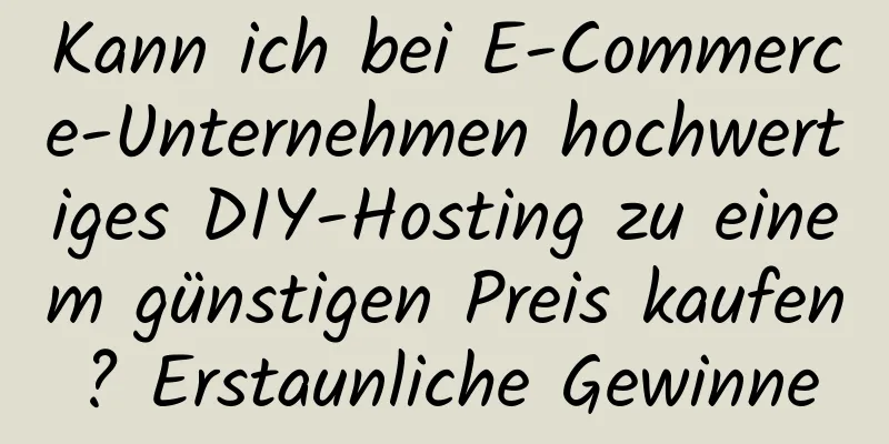 Kann ich bei E-Commerce-Unternehmen hochwertiges DIY-Hosting zu einem günstigen Preis kaufen? Erstaunliche Gewinne