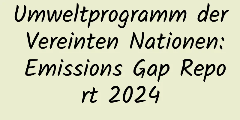 Umweltprogramm der Vereinten Nationen: Emissions Gap Report 2024