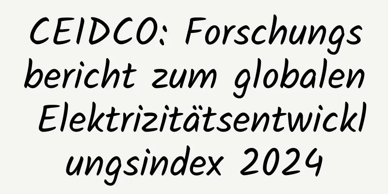 CEIDCO: Forschungsbericht zum globalen Elektrizitätsentwicklungsindex 2024