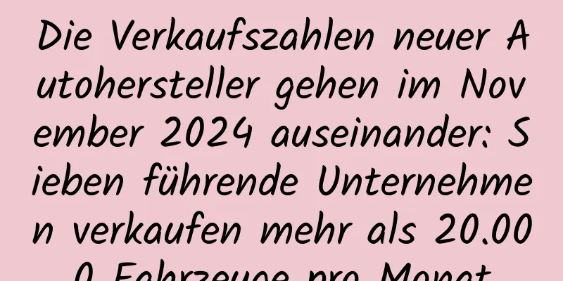 Die Verkaufszahlen neuer Autohersteller gehen im November 2024 auseinander: Sieben führende Unternehmen verkaufen mehr als 20.000 Fahrzeuge pro Monat