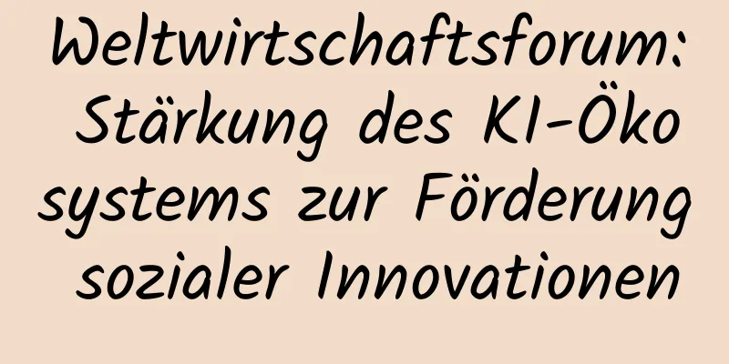 Weltwirtschaftsforum: Stärkung des KI-Ökosystems zur Förderung sozialer Innovationen