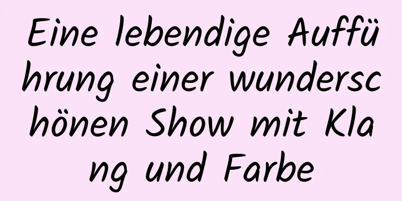 Eine lebendige Aufführung einer wunderschönen Show mit Klang und Farbe