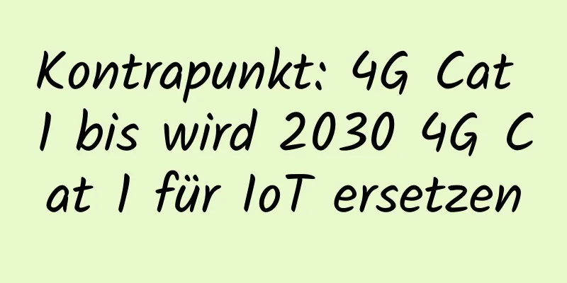 Kontrapunkt: 4G Cat 1 bis wird 2030 4G Cat 1 für IoT ersetzen