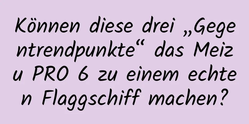 Können diese drei „Gegentrendpunkte“ das Meizu PRO 6 zu einem echten Flaggschiff machen?