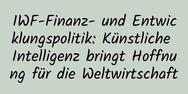 IWF-Finanz- und Entwicklungspolitik: Künstliche Intelligenz bringt Hoffnung für die Weltwirtschaft