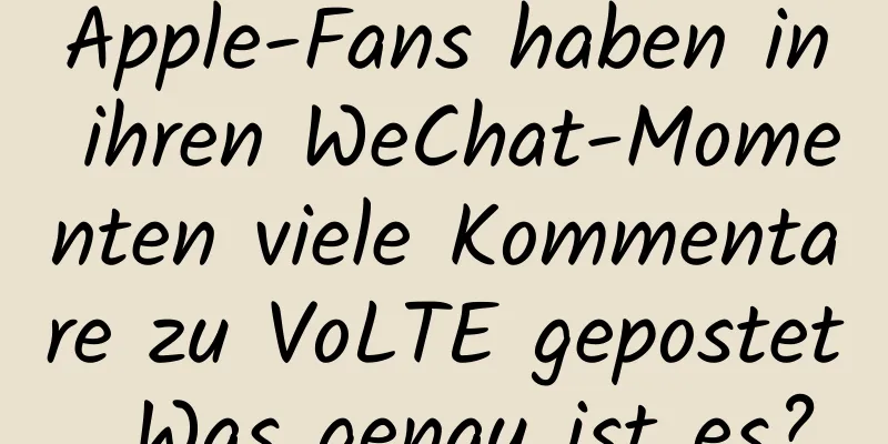 Apple-Fans haben in ihren WeChat-Momenten viele Kommentare zu VoLTE gepostet. Was genau ist es?