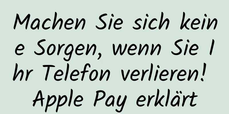 Machen Sie sich keine Sorgen, wenn Sie Ihr Telefon verlieren! Apple Pay erklärt