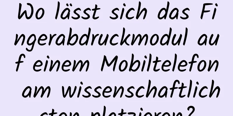 Wo lässt sich das Fingerabdruckmodul auf einem Mobiltelefon am wissenschaftlichsten platzieren?