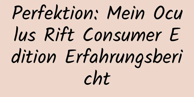 Perfektion: Mein Oculus Rift Consumer Edition Erfahrungsbericht