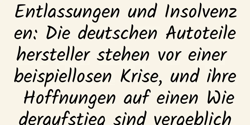 Entlassungen und Insolvenzen: Die deutschen Autoteilehersteller stehen vor einer beispiellosen Krise, und ihre Hoffnungen auf einen Wiederaufstieg sind vergeblich
