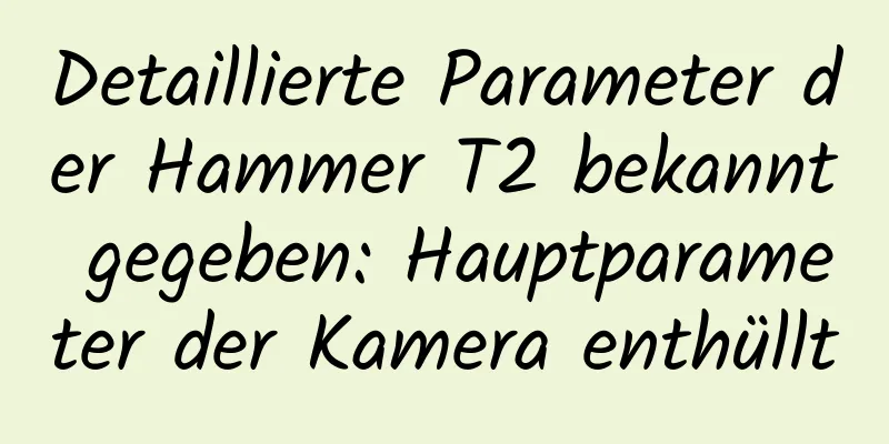 Detaillierte Parameter der Hammer T2 bekannt gegeben: Hauptparameter der Kamera enthüllt