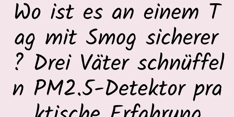 Wo ist es an einem Tag mit Smog sicherer? Drei Väter schnüffeln PM2.5-Detektor praktische Erfahrung