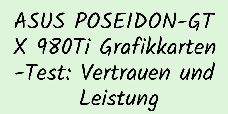 ASUS POSEIDON-GTX 980Ti Grafikkarten-Test: Vertrauen und Leistung