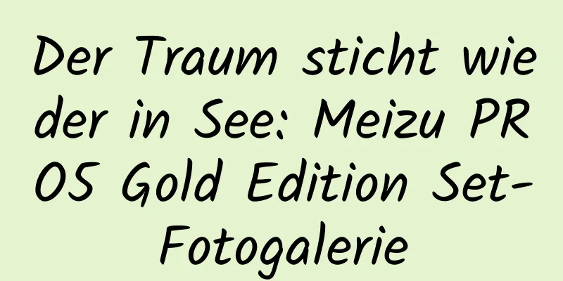 Der Traum sticht wieder in See: Meizu PRO5 Gold Edition Set-Fotogalerie