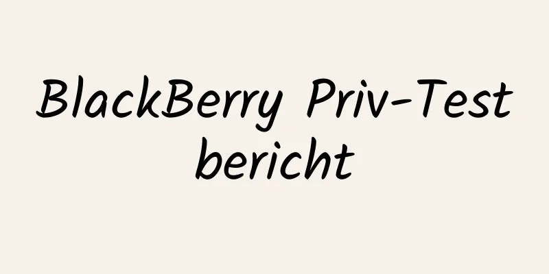 BlackBerry Priv-Testbericht