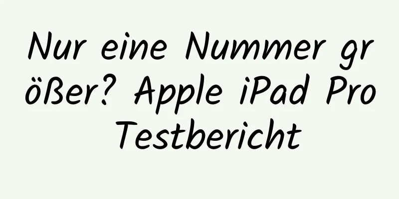Nur eine Nummer größer? Apple iPad Pro Testbericht