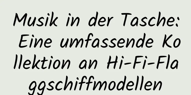 Musik in der Tasche: Eine umfassende Kollektion an Hi-Fi-Flaggschiffmodellen