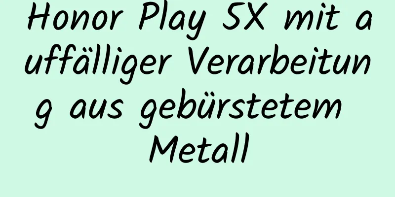 Honor Play 5X mit auffälliger Verarbeitung aus gebürstetem Metall
