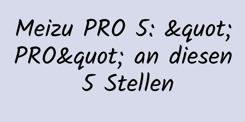 Meizu PRO 5: "PRO" an diesen 5 Stellen