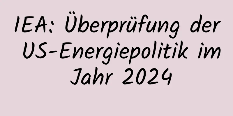 IEA: Überprüfung der US-Energiepolitik im Jahr 2024