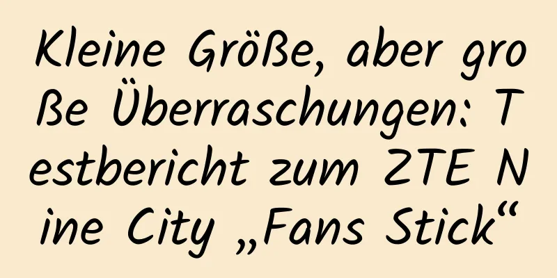 Kleine Größe, aber große Überraschungen: Testbericht zum ZTE Nine City „Fans Stick“
