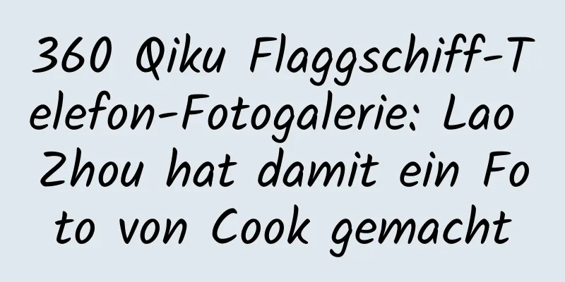 360 Qiku Flaggschiff-Telefon-Fotogalerie: Lao Zhou hat damit ein Foto von Cook gemacht