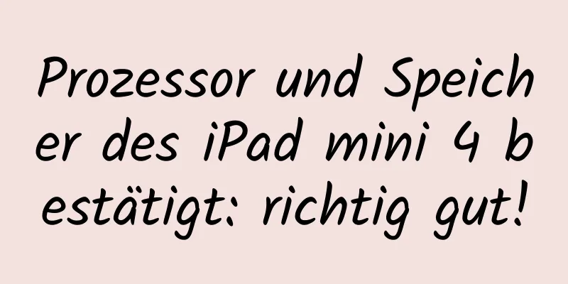 Prozessor und Speicher des iPad mini 4 bestätigt: richtig gut!