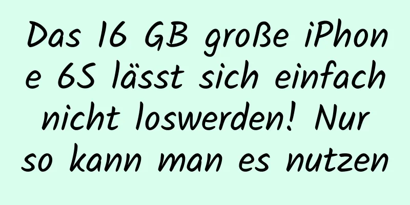 Das 16 GB große iPhone 6S lässt sich einfach nicht loswerden! Nur so kann man es nutzen