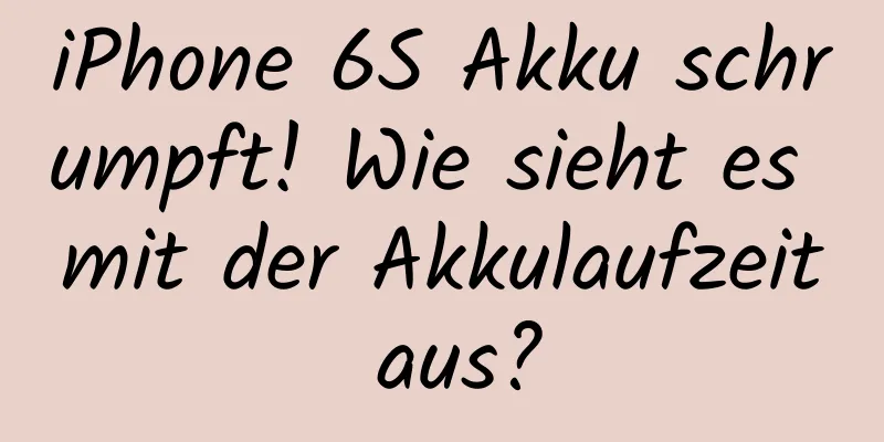iPhone 6S Akku schrumpft! Wie sieht es mit der Akkulaufzeit aus?