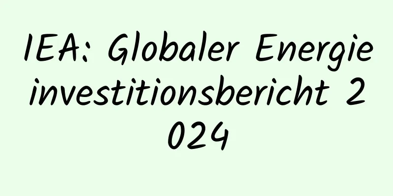 IEA: Globaler Energieinvestitionsbericht 2024