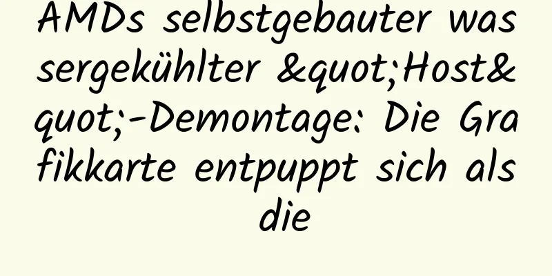 AMDs selbstgebauter wassergekühlter "Host"-Demontage: Die Grafikkarte entpuppt sich als die